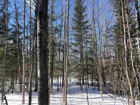 Mio Vacant Land Opportunity