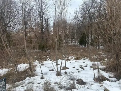Residential Land in Van Buren