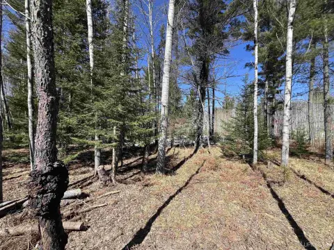 Wooded Land Near Crystal Falls