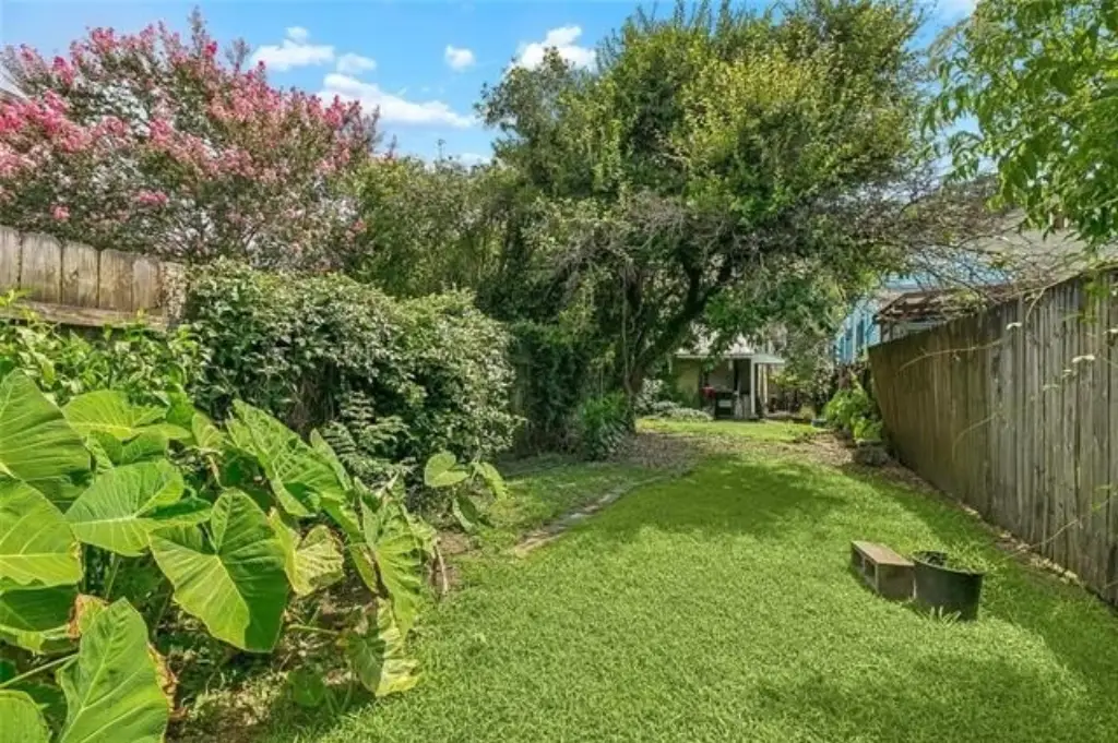 Picture 29
