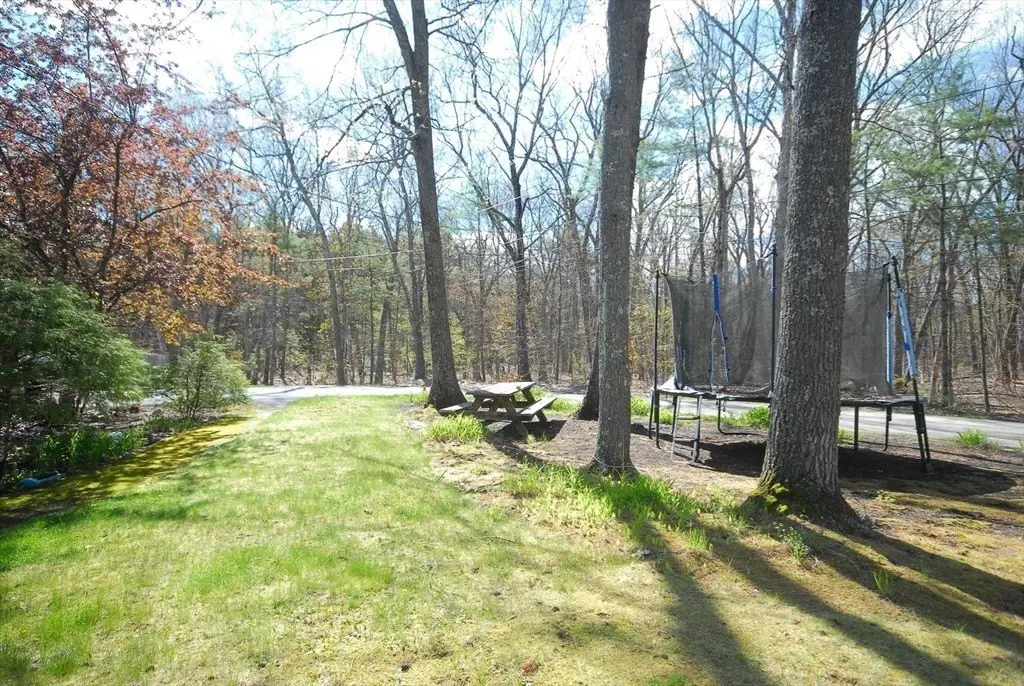 Picture 19