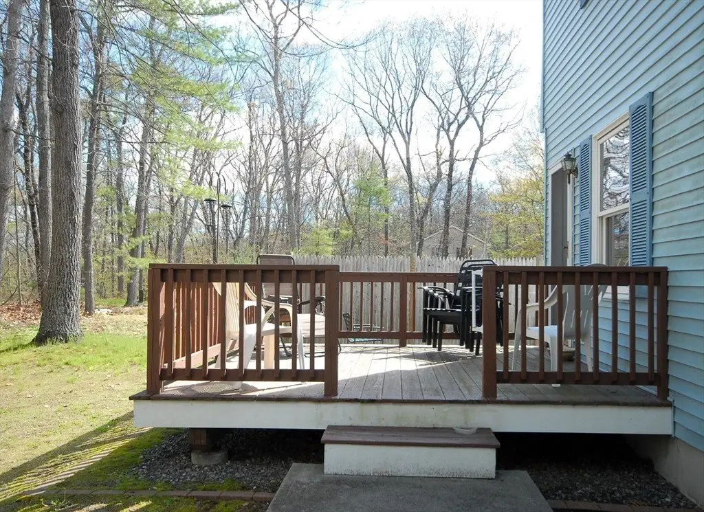 Picture 11