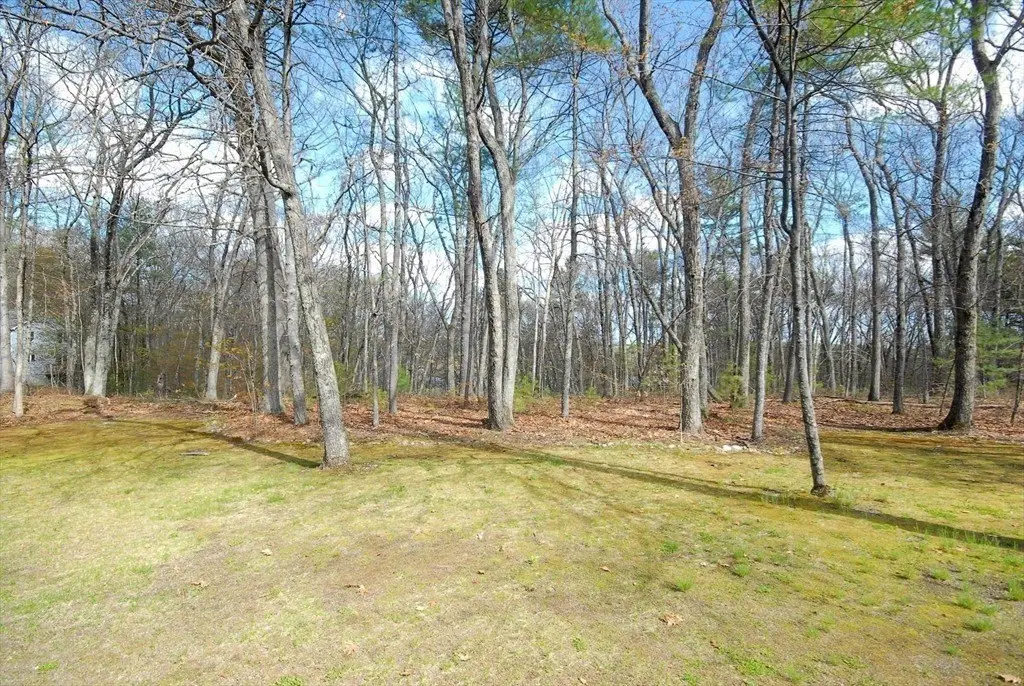 Picture 18