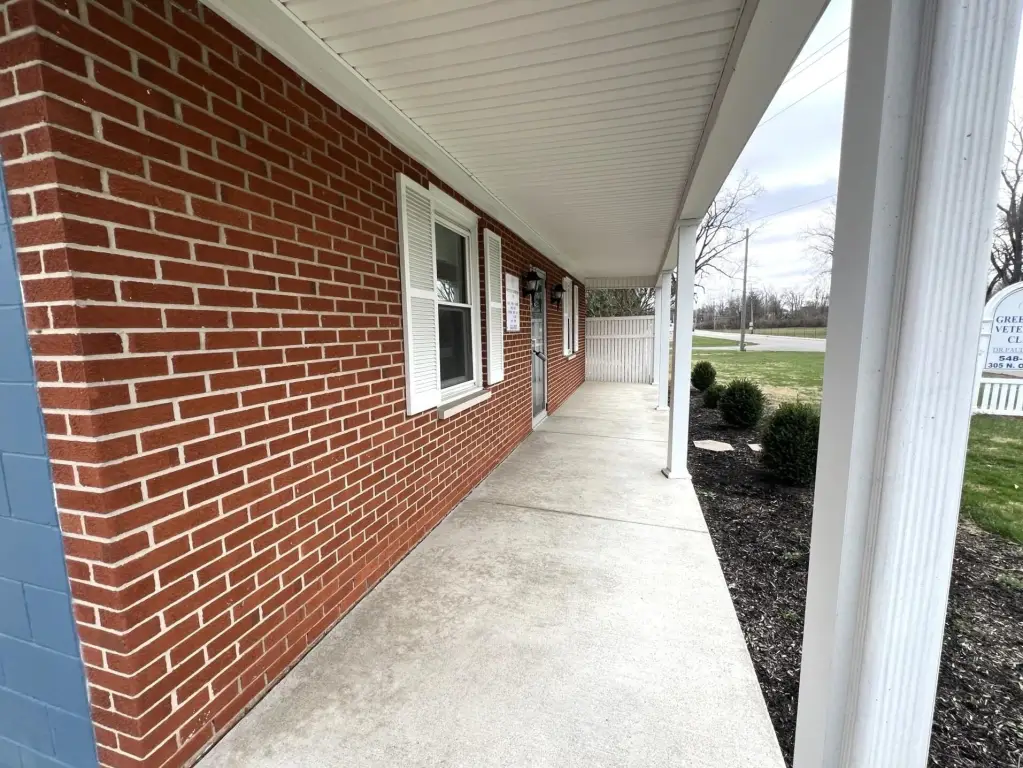 Picture 4