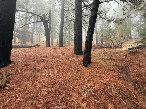 Residential Lot in Running Springs