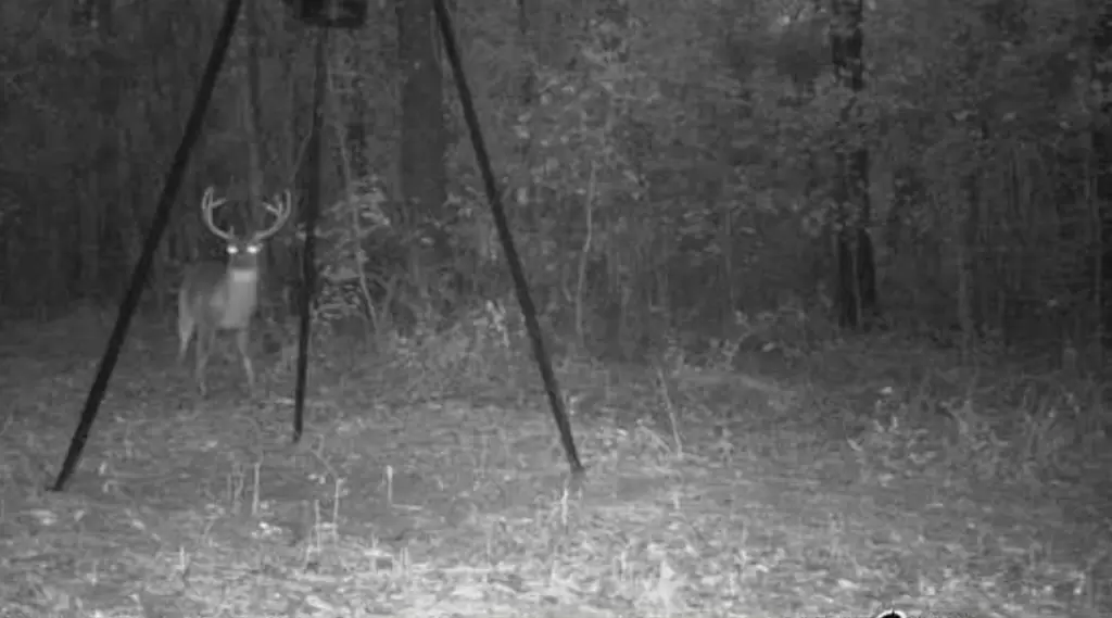 Picture 25