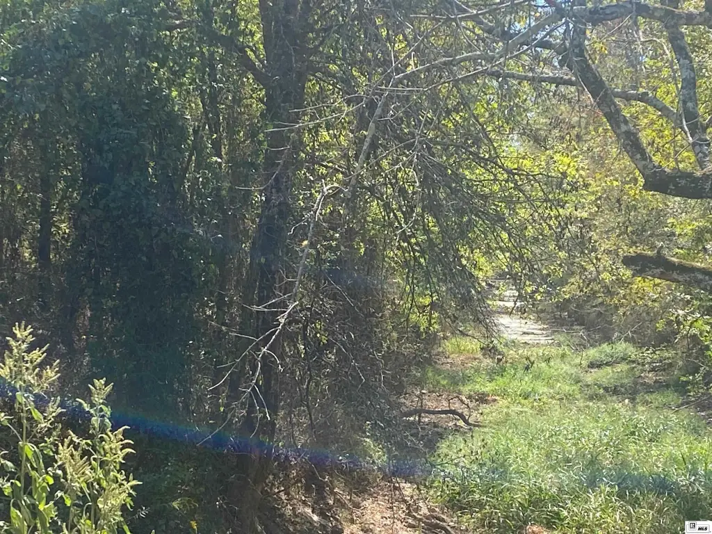 Picture 2