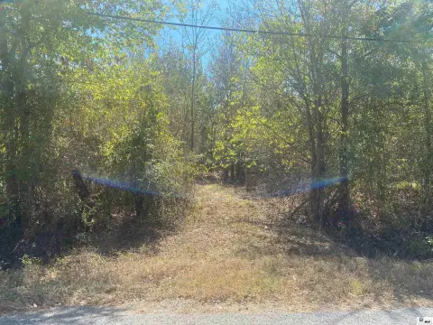 Wooded Hunting Land