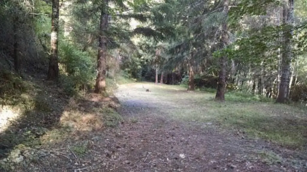 Picture 5