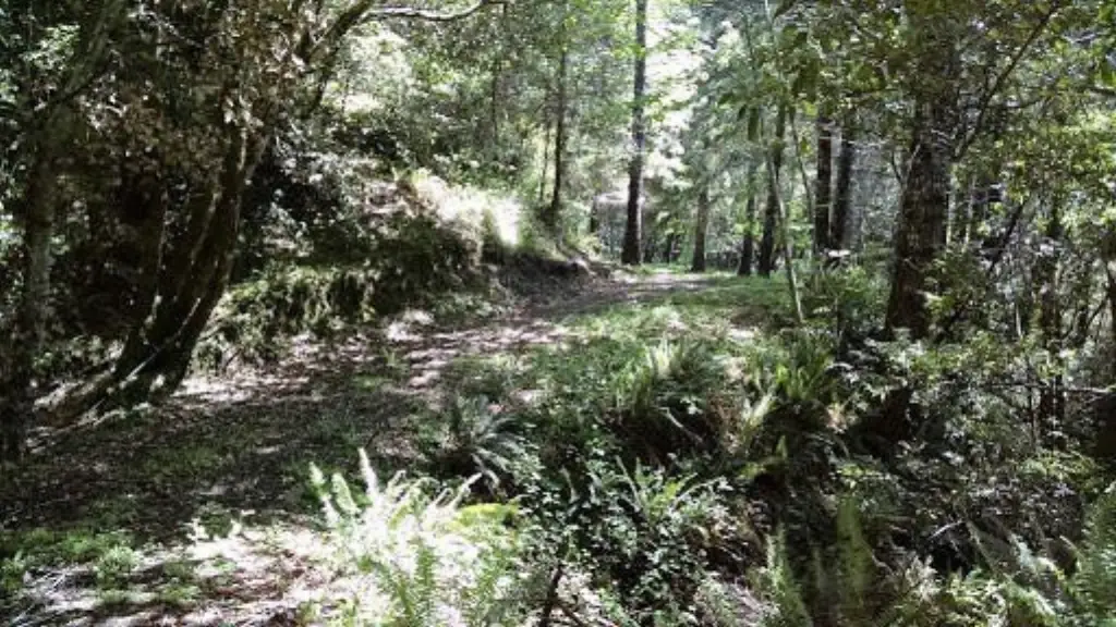 Picture 11