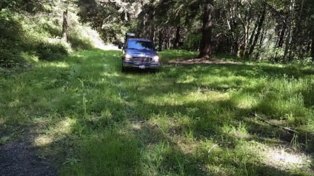 Picture 10