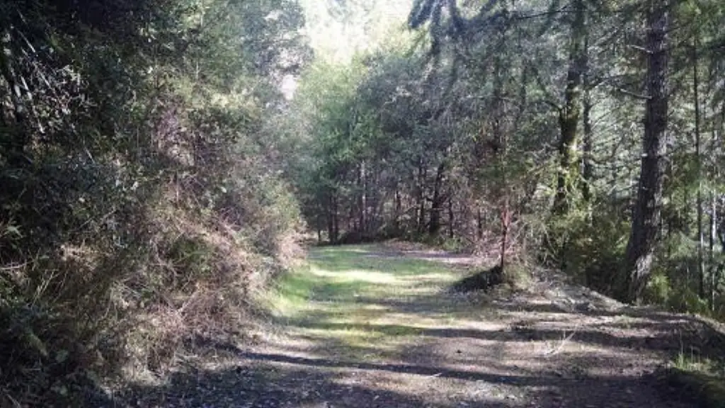 Picture 3