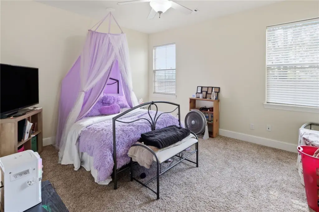 Picture 17