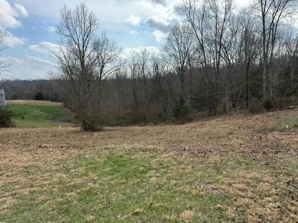 Picture 2