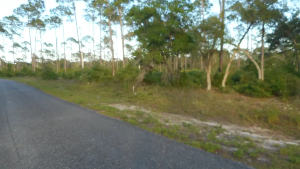 Picture 6