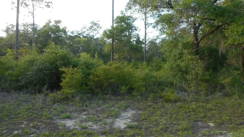 Picture 5
