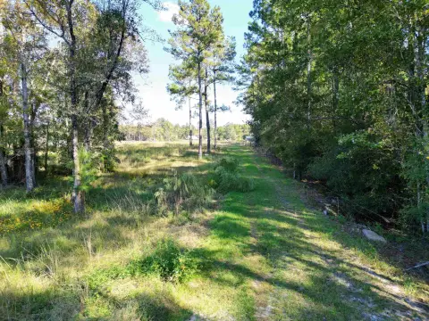 Hosford, Florida 14-Acre Land