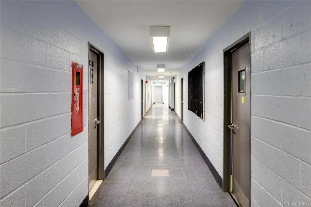 Picture 21