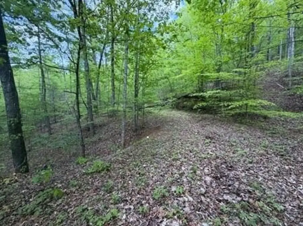 Picture 4