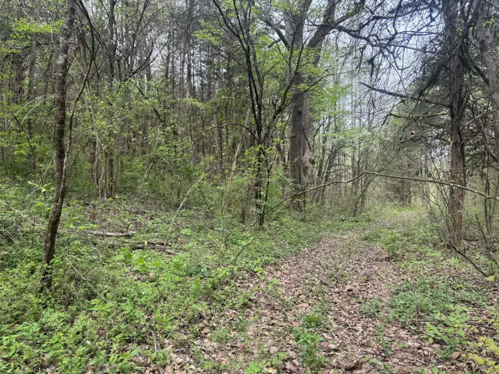 Picture 6