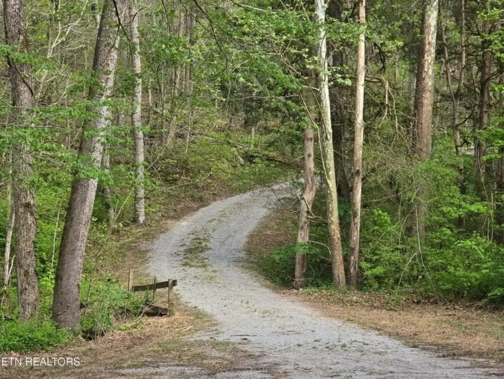 Picture 31