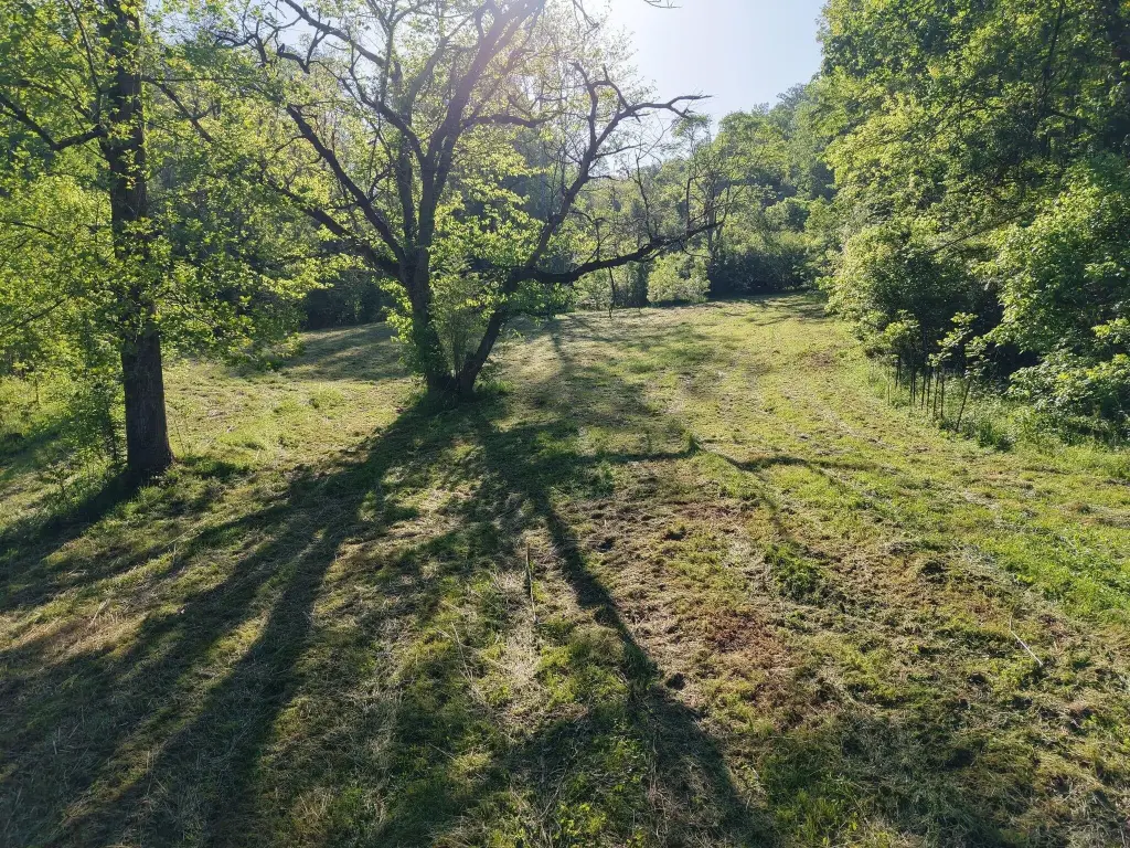 Picture 15