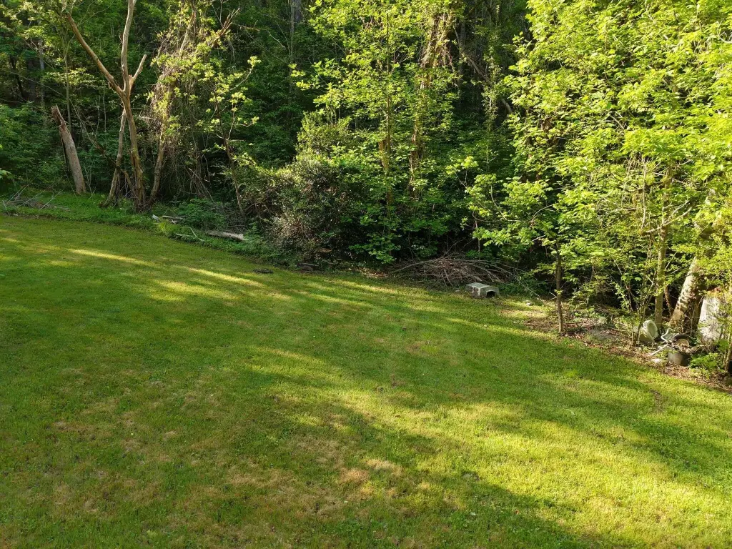 Picture 22