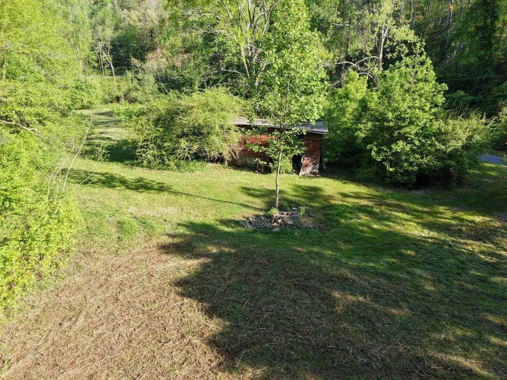 Picture 16