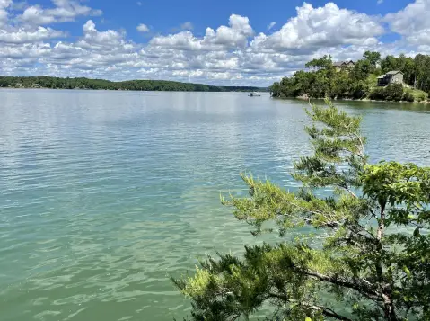 Douglas Lake Waterfront Acreage