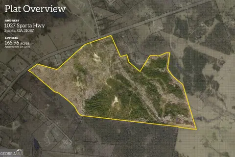 140 Acres of Timberland Investment