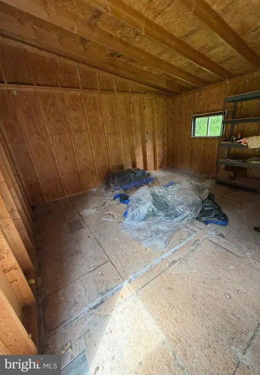 Picture 15