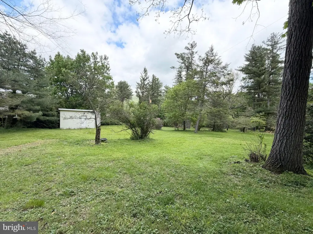 Picture 6