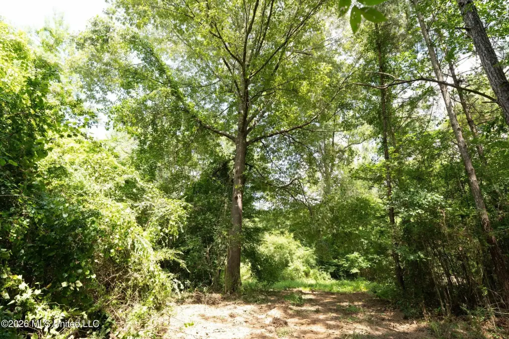 Picture 31
