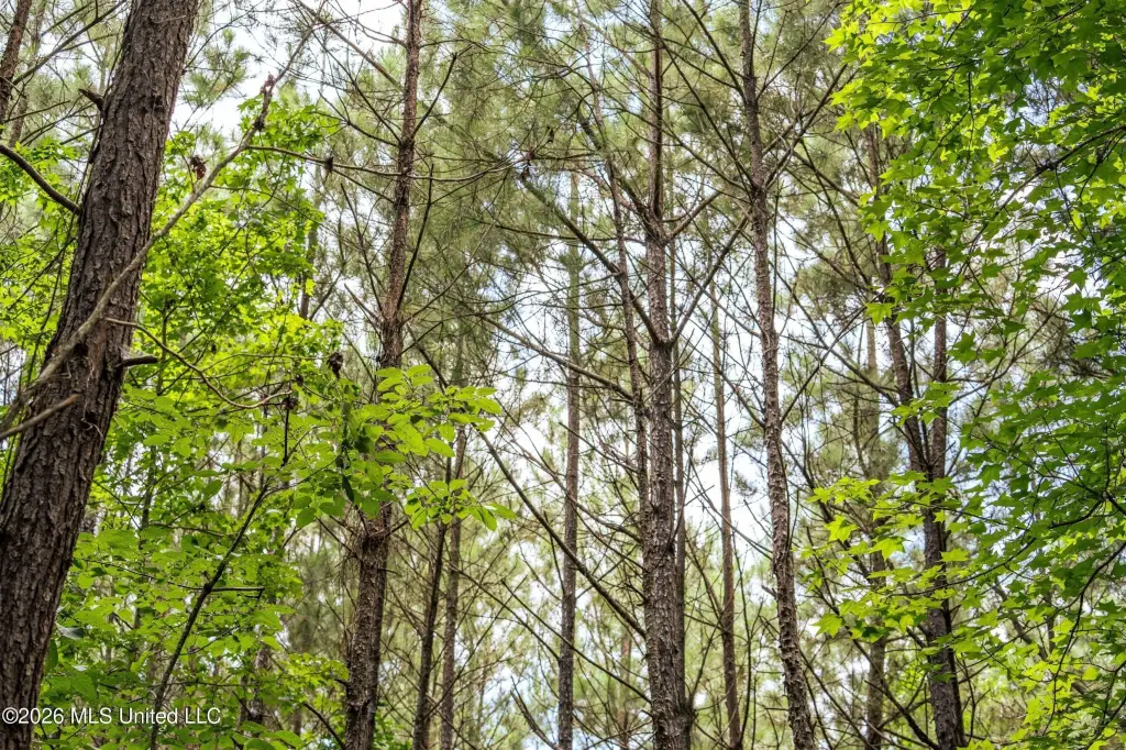 Picture 13