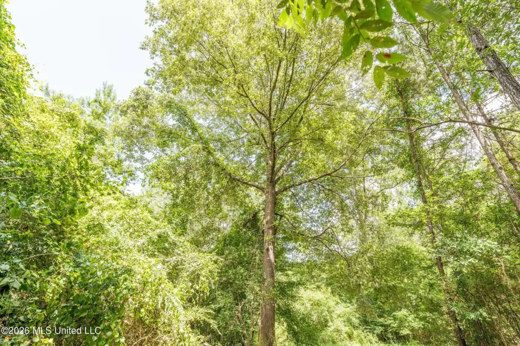 Picture 30