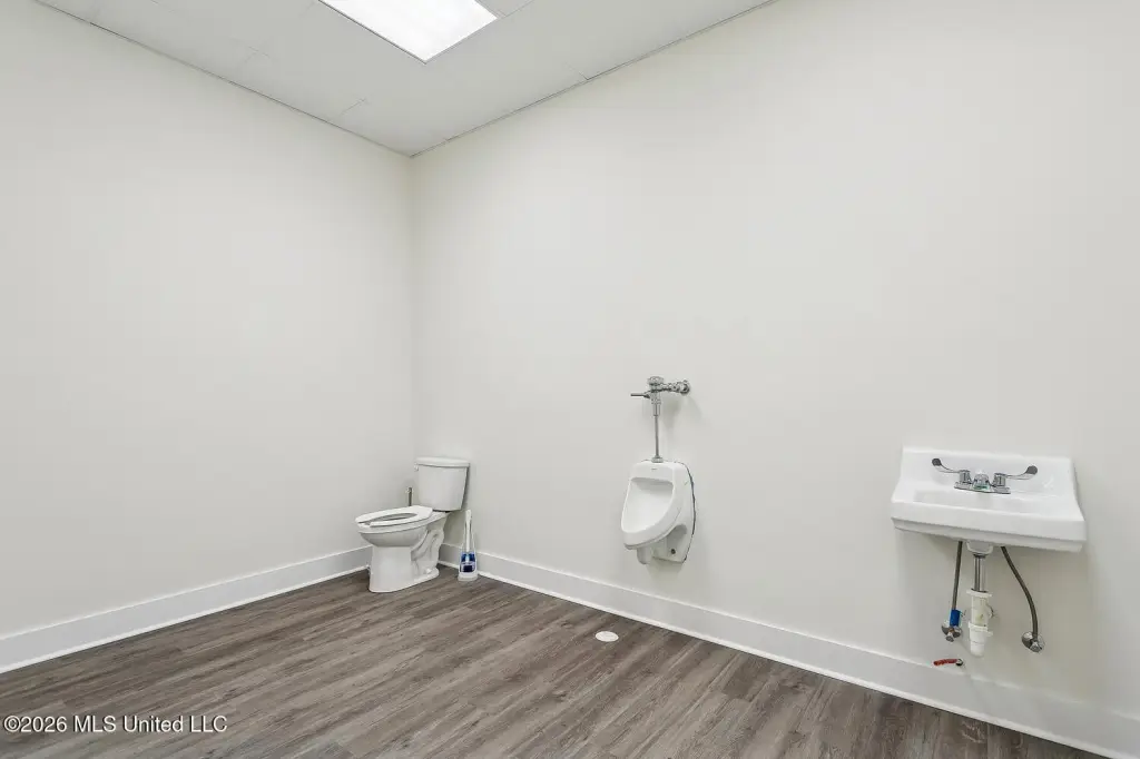 Picture 15