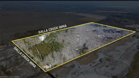 80 Acres Bordering Wildlife Area