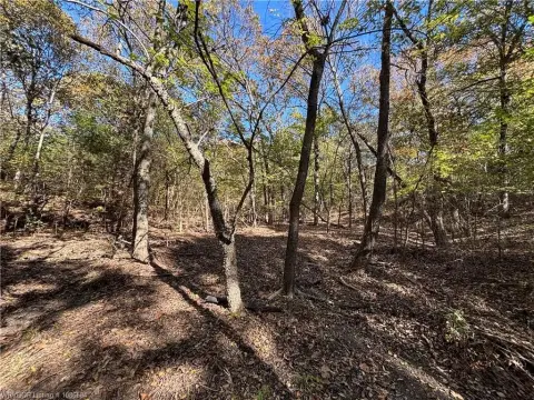 Wooded Lots Near Lake Eufaula