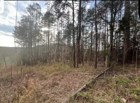 Residential Land Near Louisa, KY