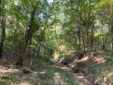 Wooded Acreage with Creek Near Athens