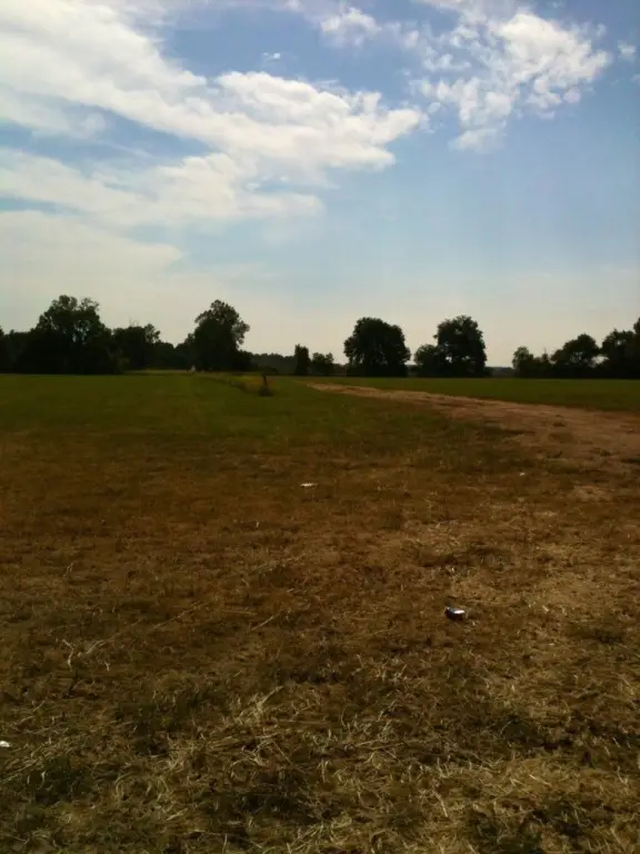 Picture 47