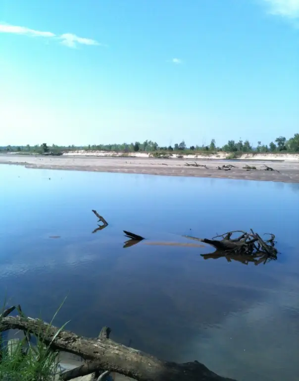 Picture 5