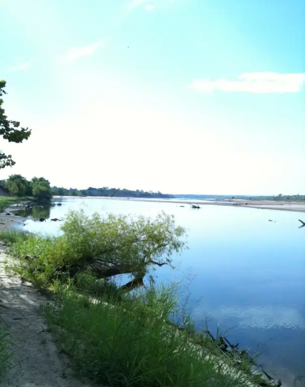 Picture 6