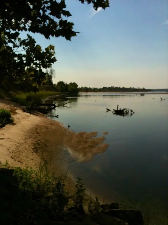 Picture 50