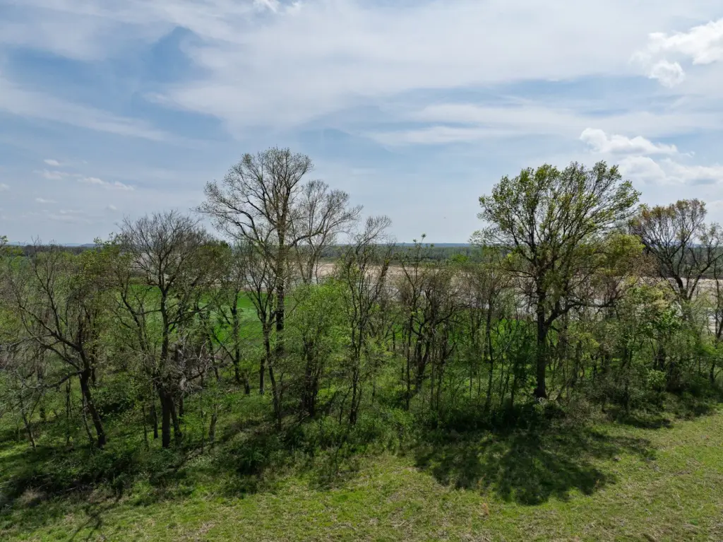 Picture 25