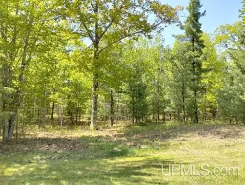 Wooded Lot in Private Setting