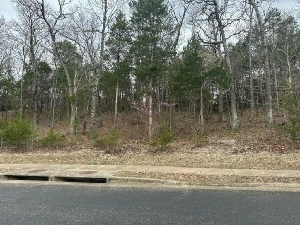 Picture 2