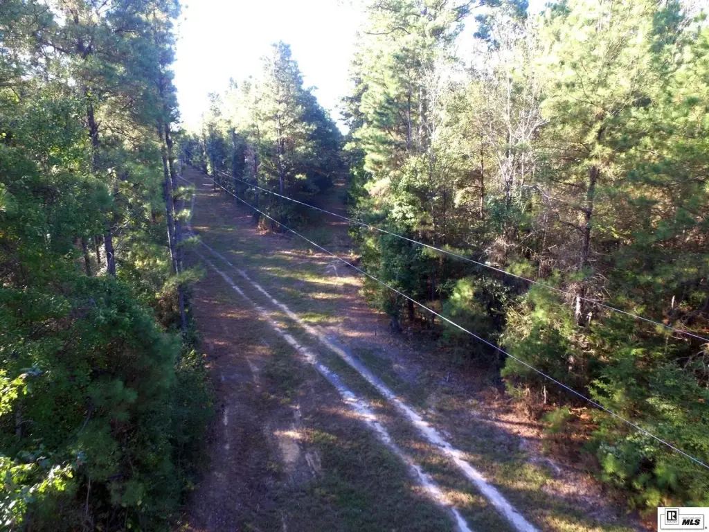 Picture 16