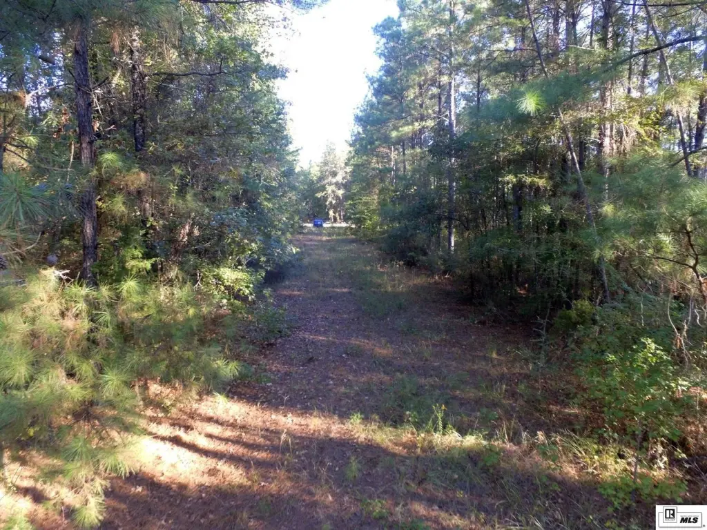 Picture 18