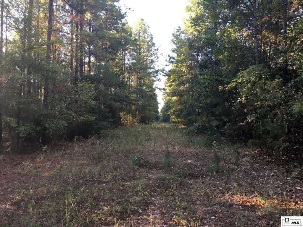 Picture 25